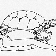 kurmasana tortoise kaplumbaga pozu 180x180 - Şerife Karahançer ile Muharrem Candaş'ta Yoga