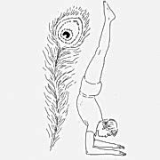 mayurasana tavus kusu pozu 180x180 - Garudasana (Kartal Pozu) 