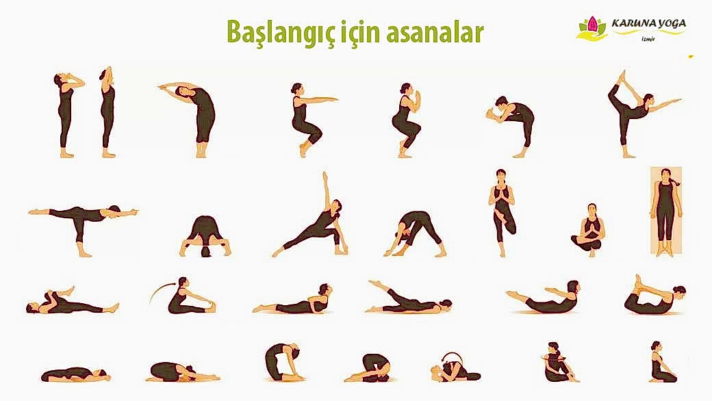 asanalar nedir - Asanalar Nedir?