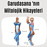 Garudasana